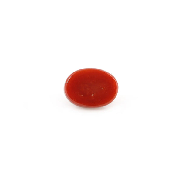 Red Coral - 4.34 Carat