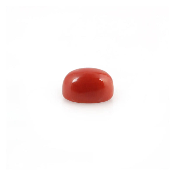 Red Coral - 4.34 Carat