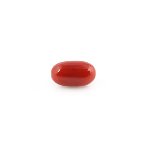 Red Coral - 4.53 Carat