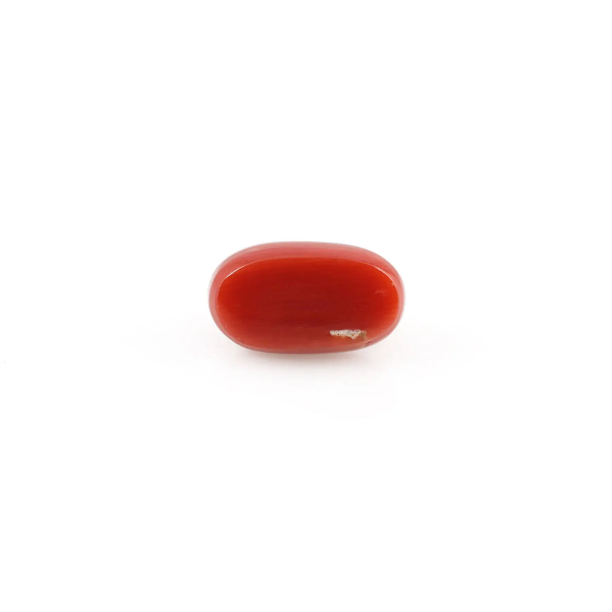 Red Coral - 4.53 Carat - Pramogh