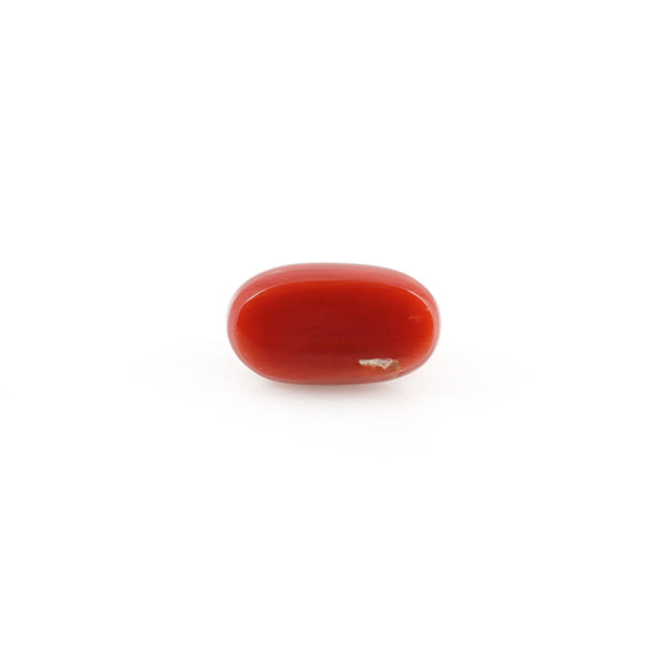 Red Coral - 4.53 Carat