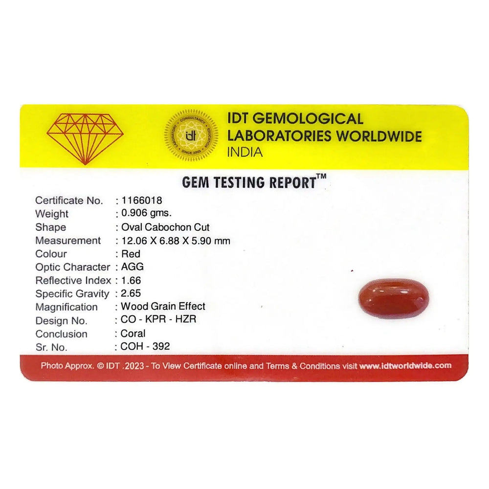 Red Coral - 4.53 Carat - Pramogh