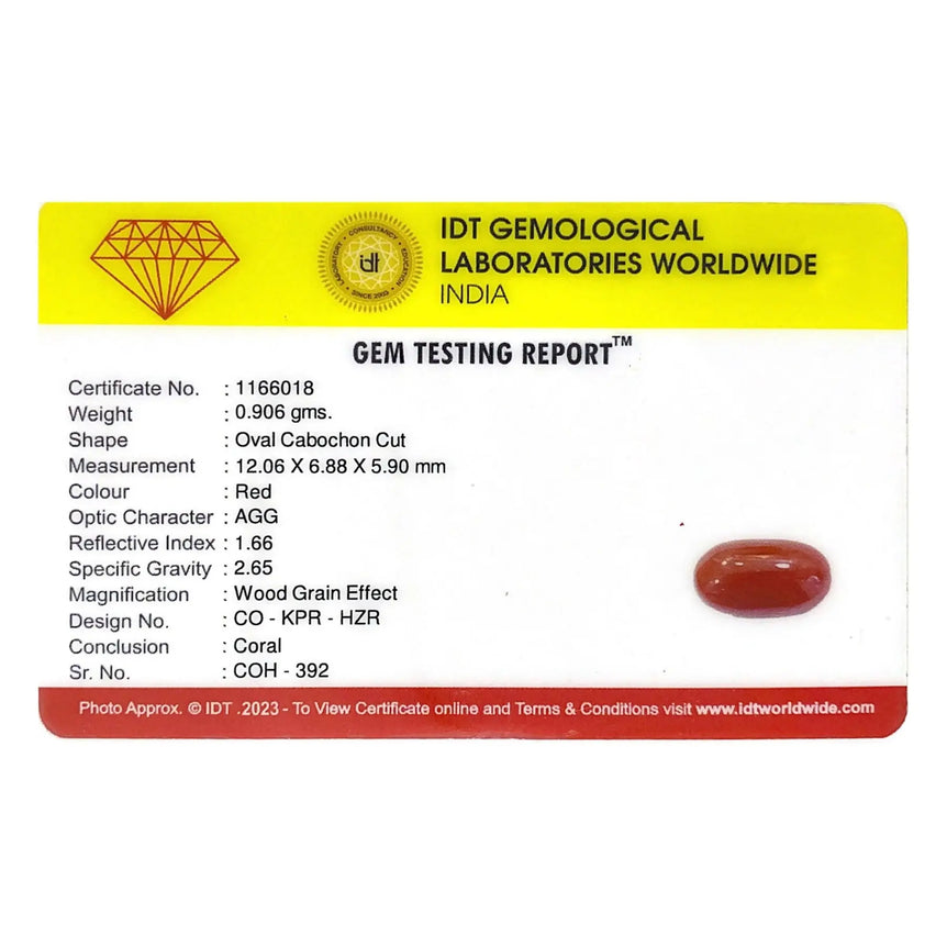 Red Coral - 4.53 Carat - Pramogh