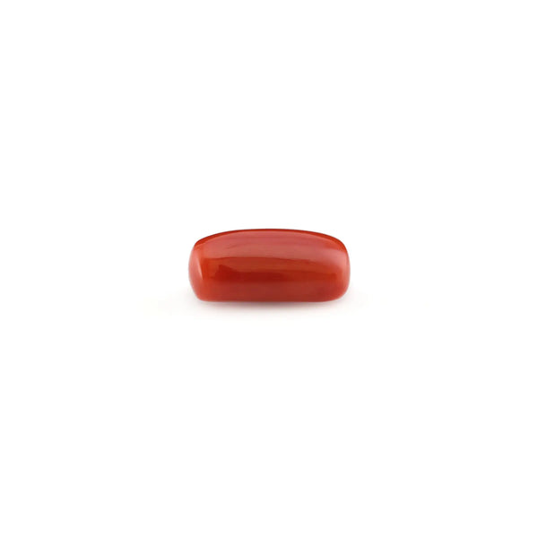 Red Coral - 5.05 Carat