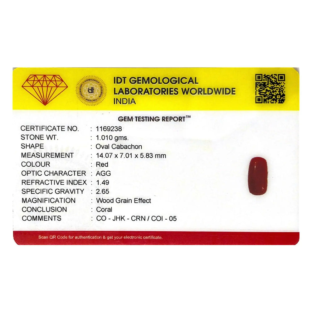 Red Coral - 5.05 Carat - Pramogh