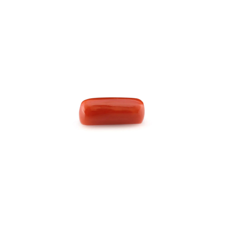 Red Coral - 4.9 Carat - Pramogh