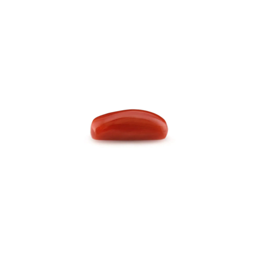 Red Coral - 5.15 Carat - Pramogh