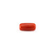 Red Coral - 5.2 Carat - Pramogh