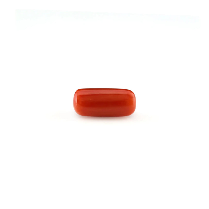 Red Coral - 5.2 Carat - Pramogh