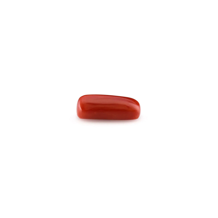 Red Coral - 4.95 Carat - Pramogh
