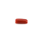 Red Coral - 4.95 Carat - Pramogh
