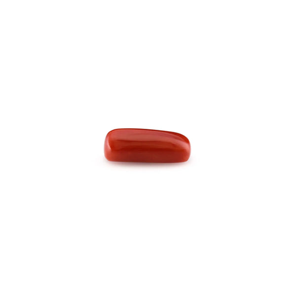 Red Coral - 4.95 Carat