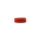 Red Coral - 4.95 Carat - Pramogh