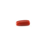 Red Coral - 4.95 Carat - Pramogh