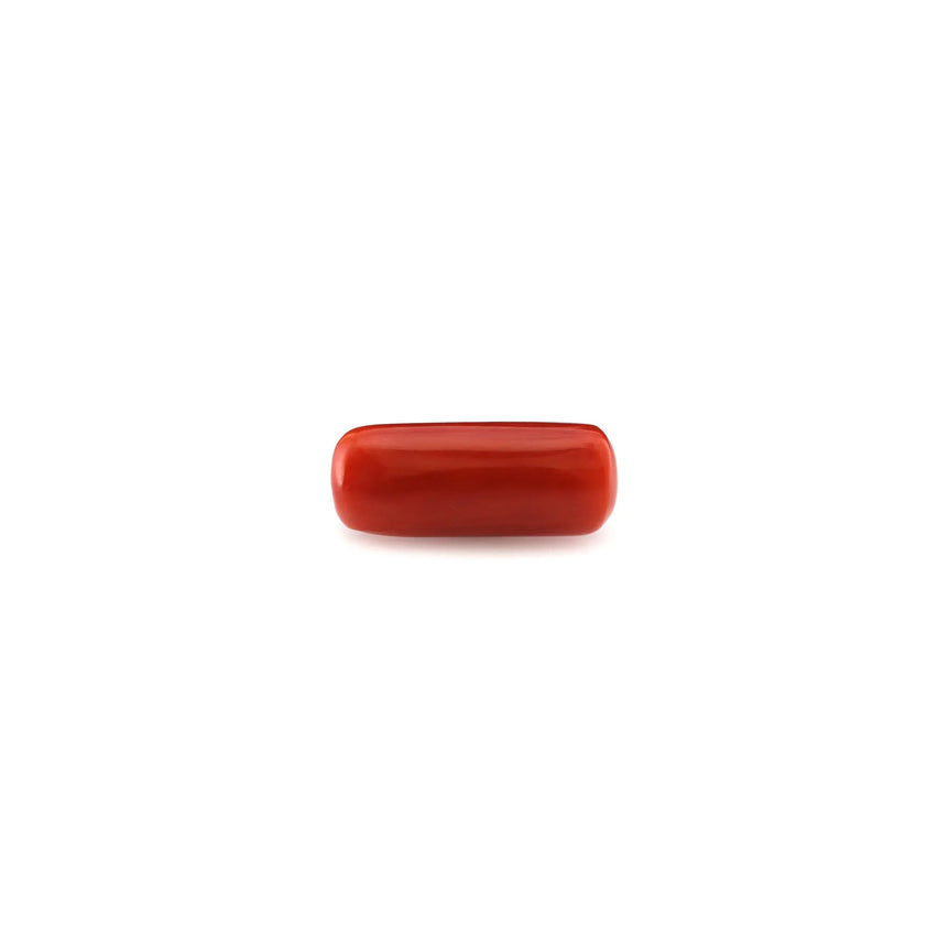 Red Coral - 4.8 Carat - Pramogh