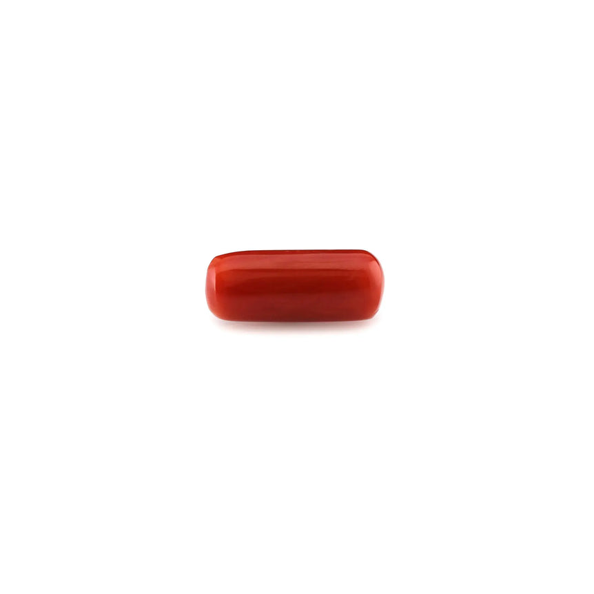 Red Coral - 4.8 Carat - Pramogh