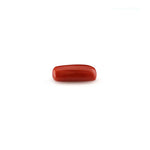 Red Coral - 4.9 Carat - Pramogh