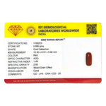 Red Coral - 4.9 Carat - Pramogh