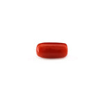 Red Coral - 4.8 Carat - Pramogh
