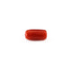 Red Coral - 4.8 Carat - Pramogh