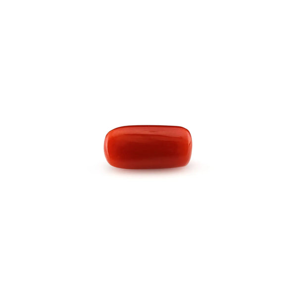 Red Coral - 4.8 Carat