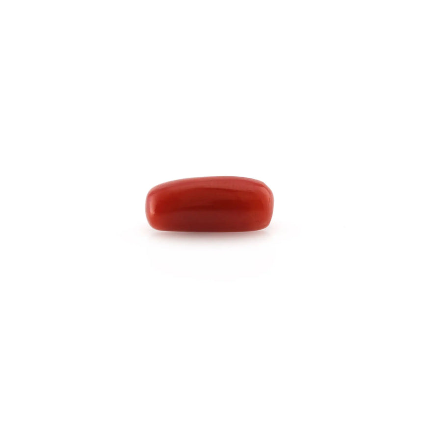 Red Coral - 4.95 Carat - Pramogh