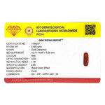 Red Coral - 4.95 Carat - Pramogh