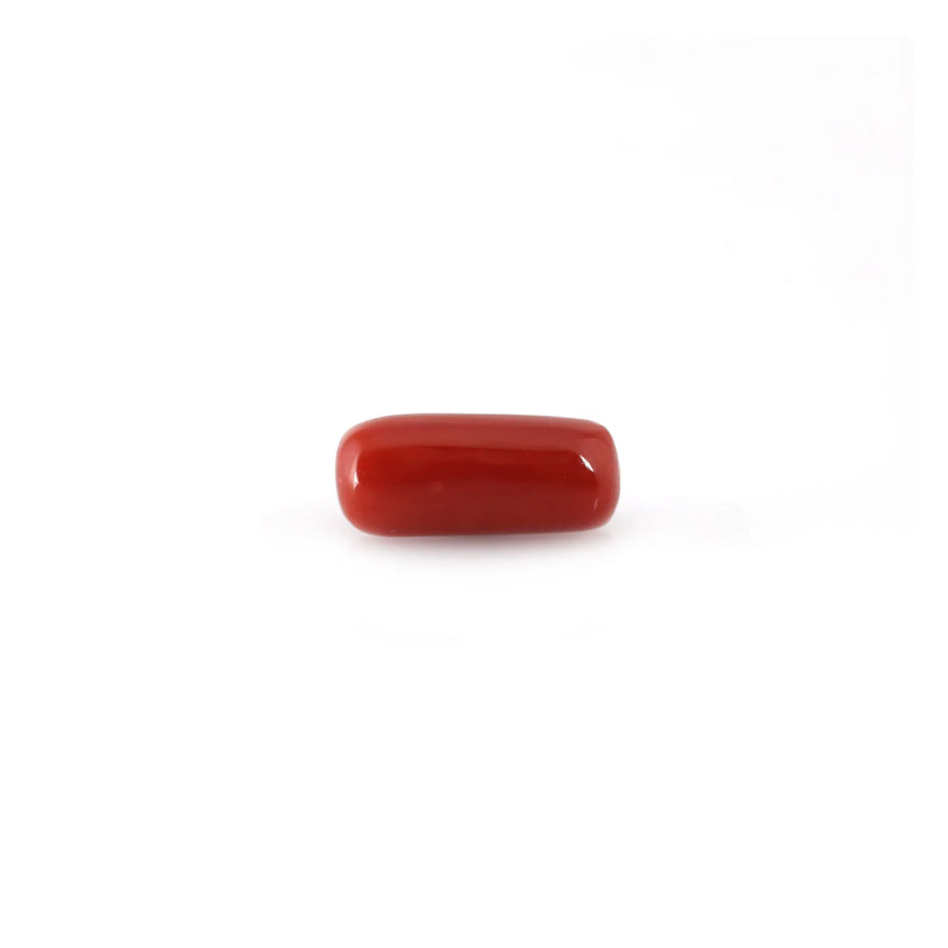 Red Coral - 4.95 Carat - Pramogh