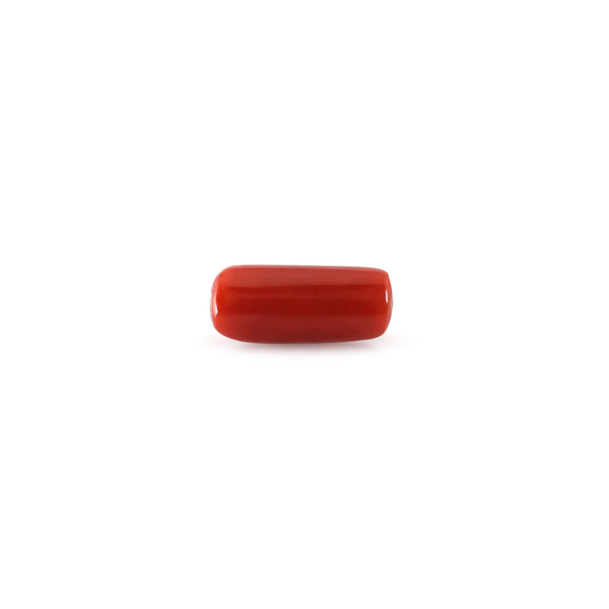 Red Coral - 4.95 Carat - Pramogh