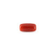 Red Coral - 4.95 Carat - Pramogh