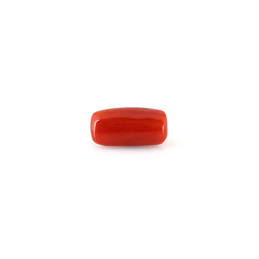 Red Coral - 4.95 Carat - Pramogh
