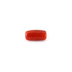 Red Coral - 4.95 Carat - Pramogh