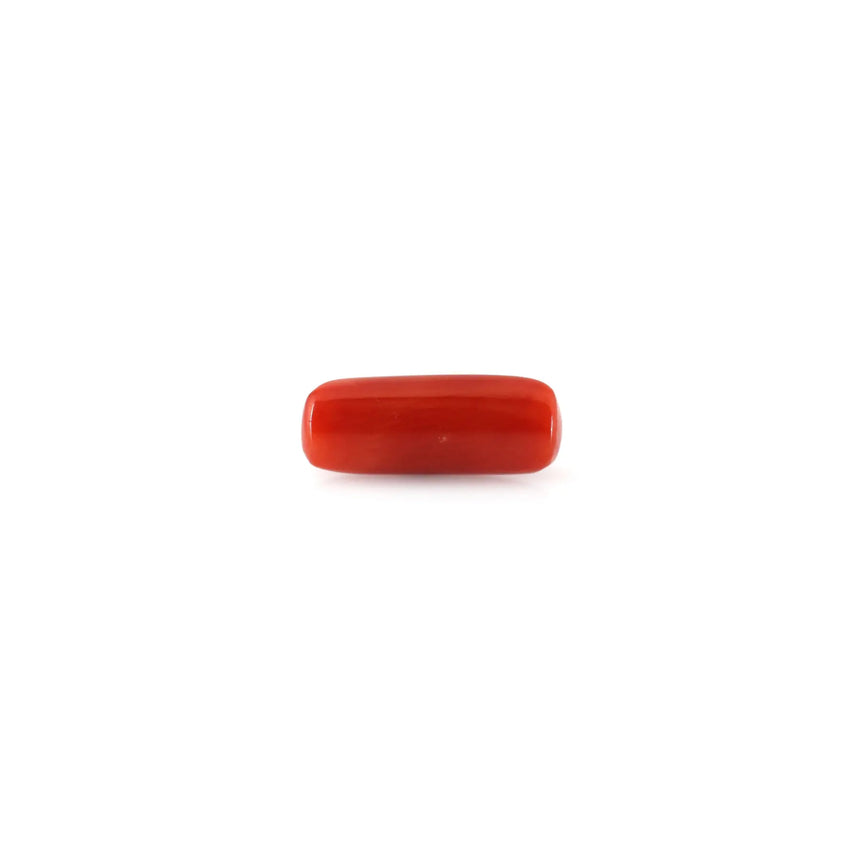 Red Coral - 4.95 Carat - Pramogh