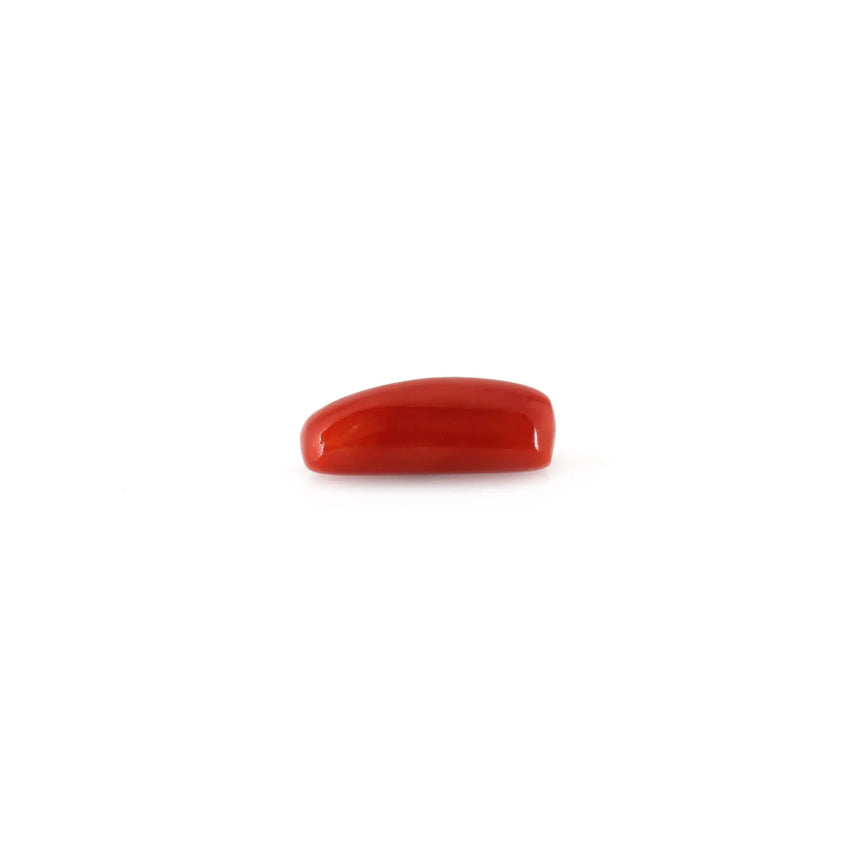 Red Coral - 4.95 Carat - Pramogh