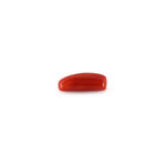 Red Coral - 4.95 Carat - Pramogh