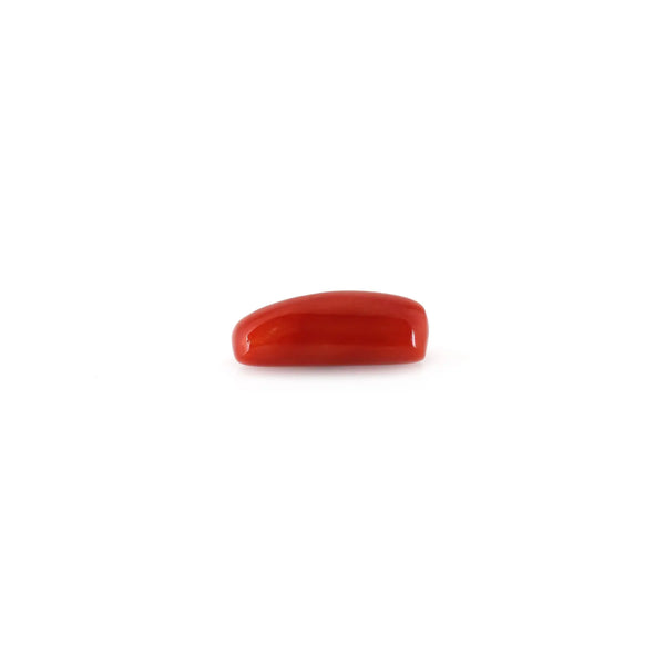 Red Coral - 4.95 Carat