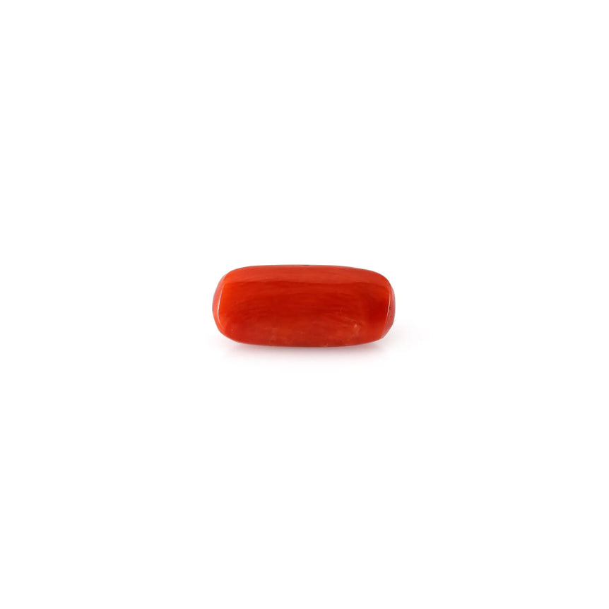 Red Coral - 4.9 Carat - Pramogh