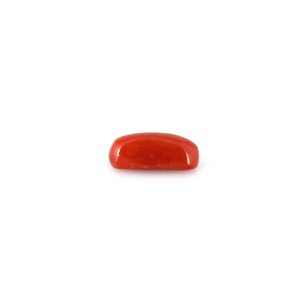 Red Coral - 4.9 Carat