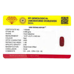 Red Coral - 4.9 Carat - Pramogh