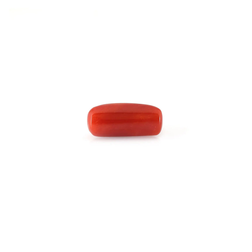 Red Coral - 5.2 Carat - Pramogh