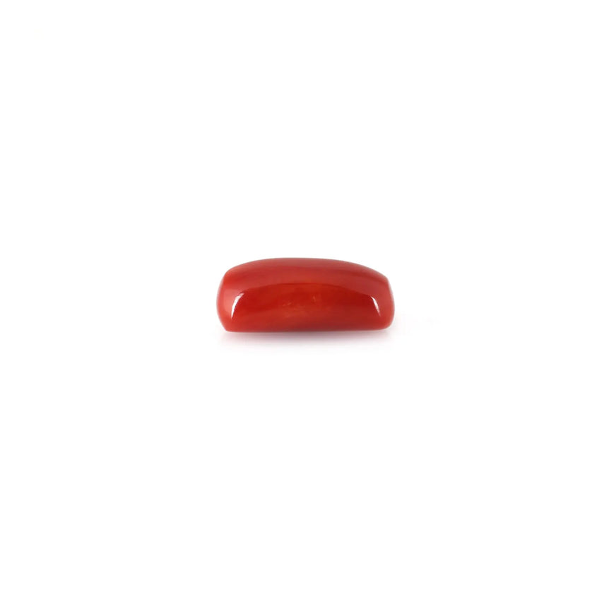 Red Coral - 5.2 Carat - Pramogh