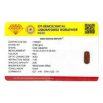 Red Coral - 4.95 Carat - Pramogh