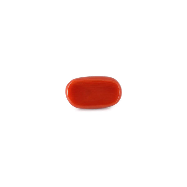 Red Coral - 11.43 Carat