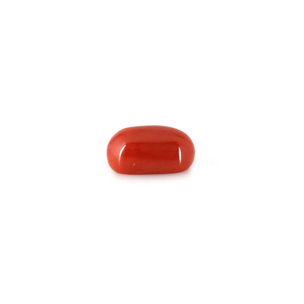 Red Coral - 11.43 Carat