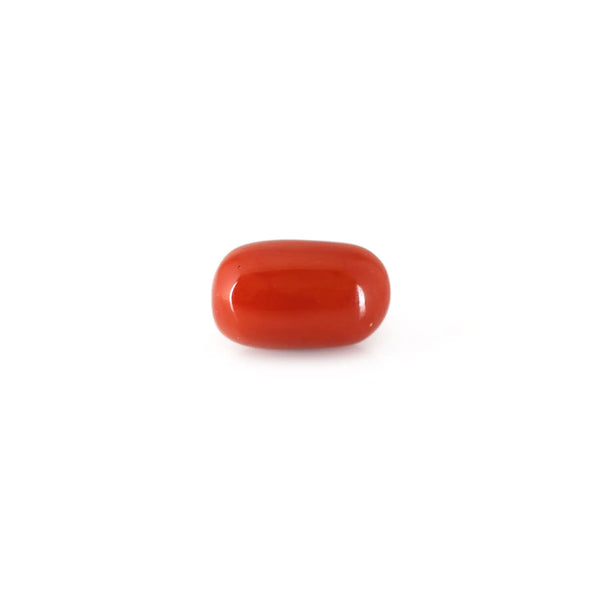 Red Coral - 12.9 Carat