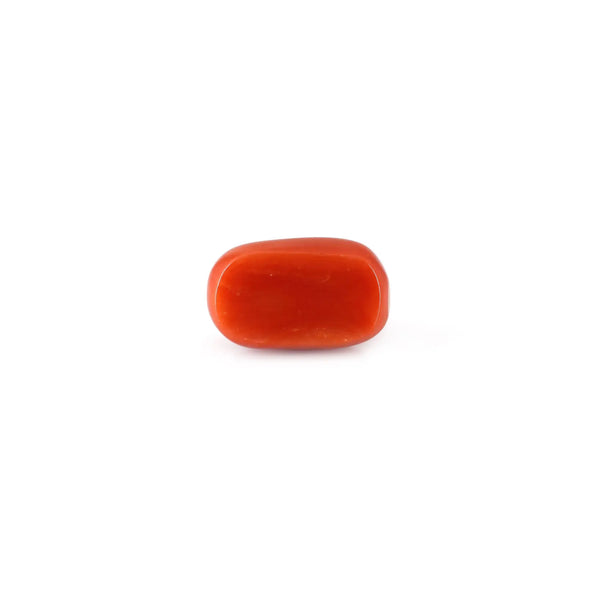 Red Coral - 12.9 Carat