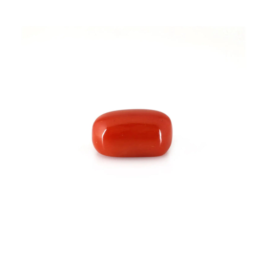 Red Coral - 12.9 Carat - Pramogh