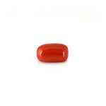 Red Coral - 12.9 Carat - Pramogh
