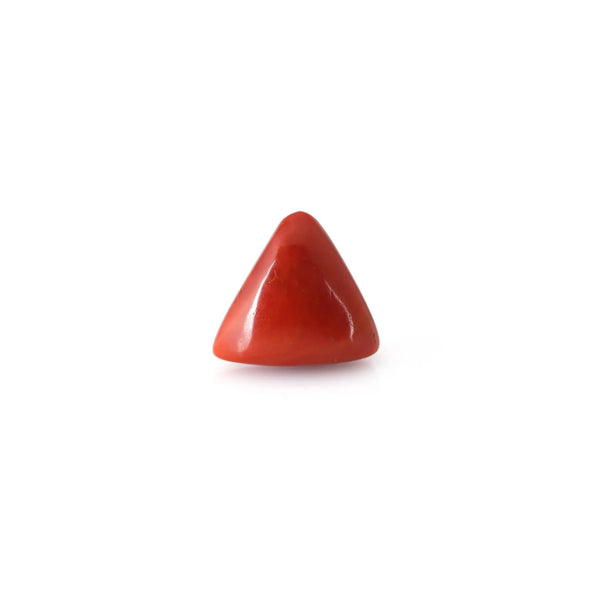 Red Coral - 13.85 Carat