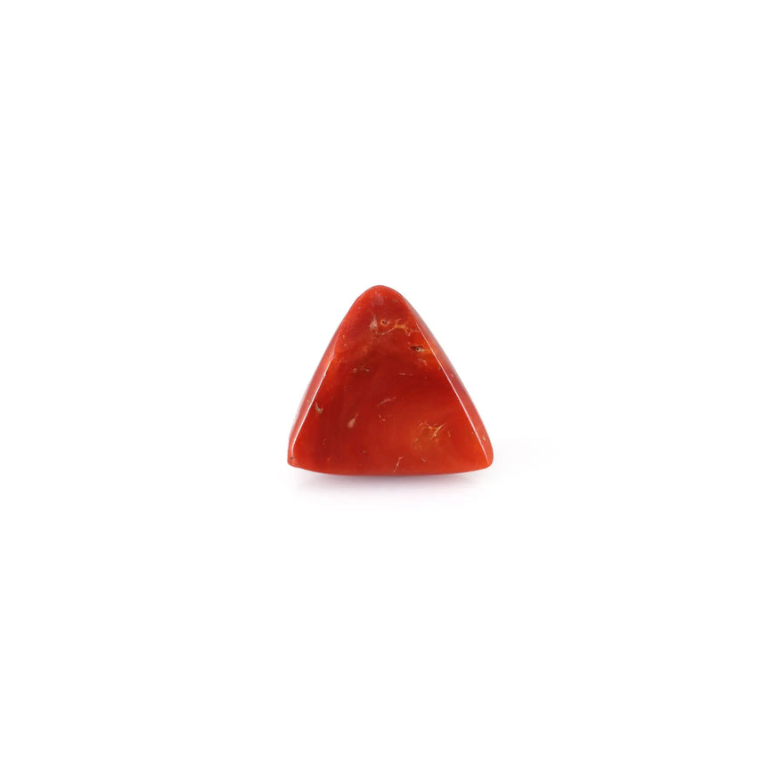 Red Coral - 13.85 Carat - Pramogh